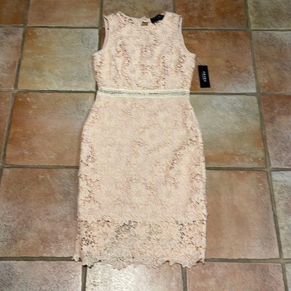 AKIRA Dresses & Skirts - AKIRA LACE OPEN BACK DRESS PEACH SMALL